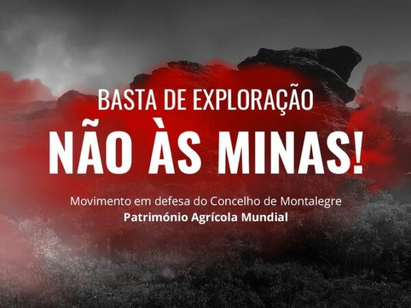 Movimento não às Minas